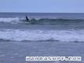photo de surf