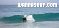 photo de surf