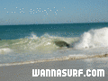 photo de surf