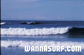 photo de surf