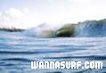 photo de surf