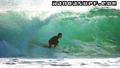 photo de surf