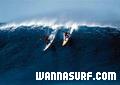 photo de surf