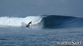 photo de surf