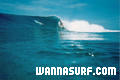 photo de surf