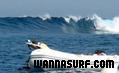 photo de surf