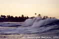 photo de surf