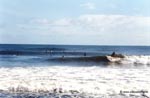 photo de surf