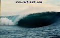 photo de surf