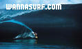 photo de surf