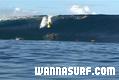 photo de surf