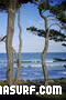 photo de surf