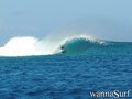 photo de surf