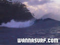 photo de surf