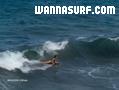 photo de surf