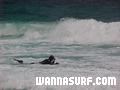 photo de surf