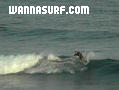 photo de surf