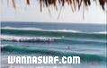 photo de surf