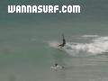 photo de surf