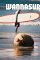photo de surf