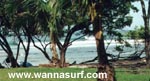 photo de surf