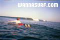 photo de surf