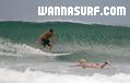 photo de surf