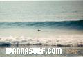photo de surf