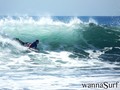 photo de surf