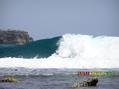 photo de surf