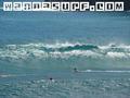 photo de surf