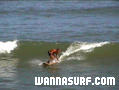 photo de surf