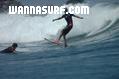 photo de surf