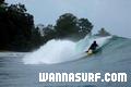 photo de surf