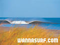 photo de surf