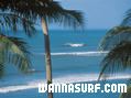 photo de surf