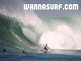 photo de surf