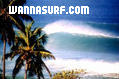 photo de surf