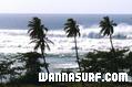 photo de surf