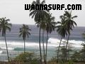 photo de surf