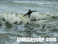 photo de surf
