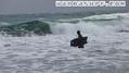 photo de surf