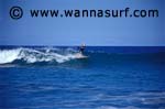 photo de surf