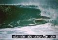 photo de surf