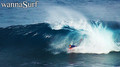 photo de surf