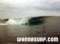 photo de surf