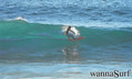 photo de surf