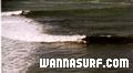 photo de surf