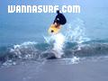 photo de surf