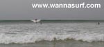 photo de surf